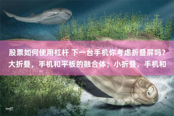 股票如何使用杠杆 下一台手机你考虑折叠屏吗？大折叠，手机和平板的融合体；小折叠，手机和