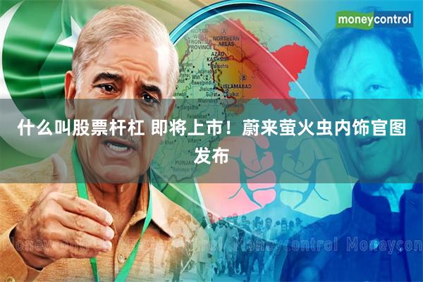 什么叫股票杆杠 即将上市！蔚来萤火虫内饰官图发布