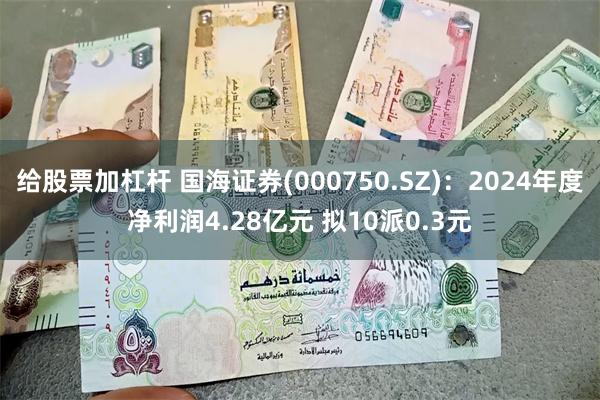 给股票加杠杆 国海证券(000750.SZ)：2024年度净利润4.28亿元 拟10派0.3元