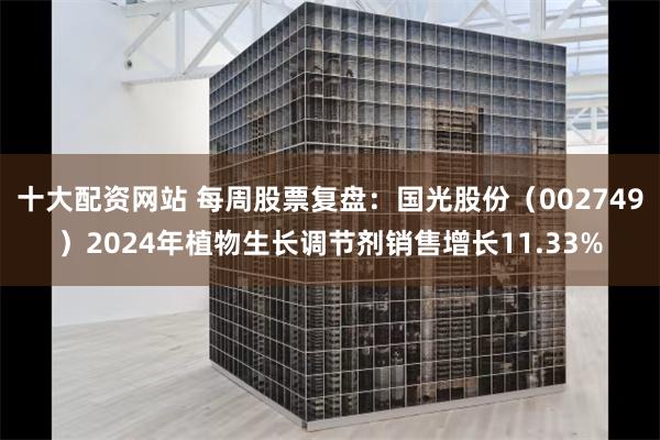 十大配资网站 每周股票复盘：国光股份（002749）2024年植物生长调节剂销售增长11.33%