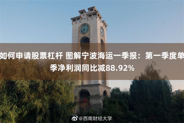 如何申请股票杠杆 图解宁波海运一季报：第一季度单季净利润同比减88.92%