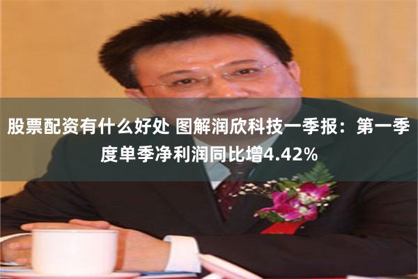 股票配资有什么好处 图解润欣科技一季报：第一季度单季净利润同比增4.42%