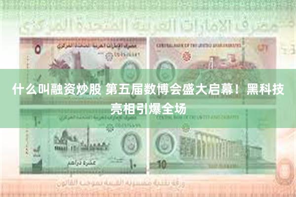 什么叫融资炒股 第五届数博会盛大启幕！黑科技亮相引爆全场