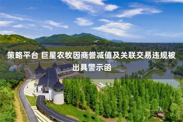 策略平台 巨星农牧因商誉减值及关联交易违规被出具警示函