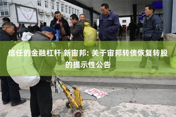 信任的金融杠杆 新宙邦: 关于宙邦转债恢复转股的提示性公告