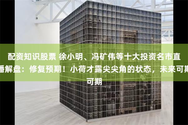 配资知识股票 徐小明、冯矿伟等十大投资名市直播解盘：修复预期！小荷才露尖尖角的状态，未来可期