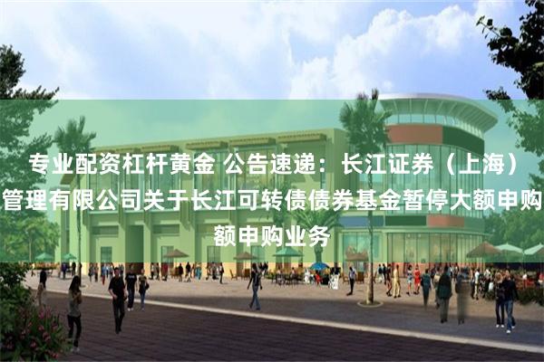 专业配资杠杆黄金 公告速递：长江证券（上海）资产管理有限公司关于长江可转债债券基金暂停大额申购业务