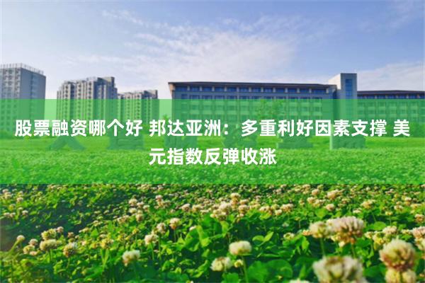 股票融资哪个好 邦达亚洲：多重利好因素支撑 美元指数反弹收涨
