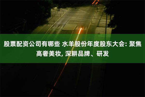 股票配资公司有哪些 水羊股份年度股东大会: 聚焦高奢美妆, 深耕品牌、研发