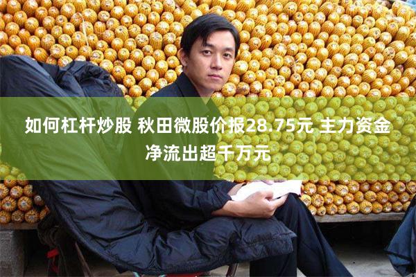 如何杠杆炒股 秋田微股价报28.75元 主力资金净流出超千万元
