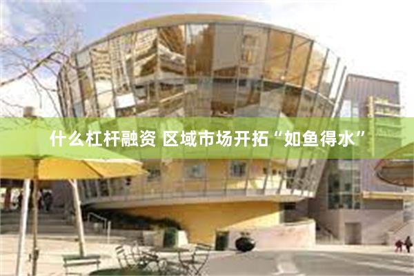 什么杠杆融资 区域市场开拓“如鱼得水”